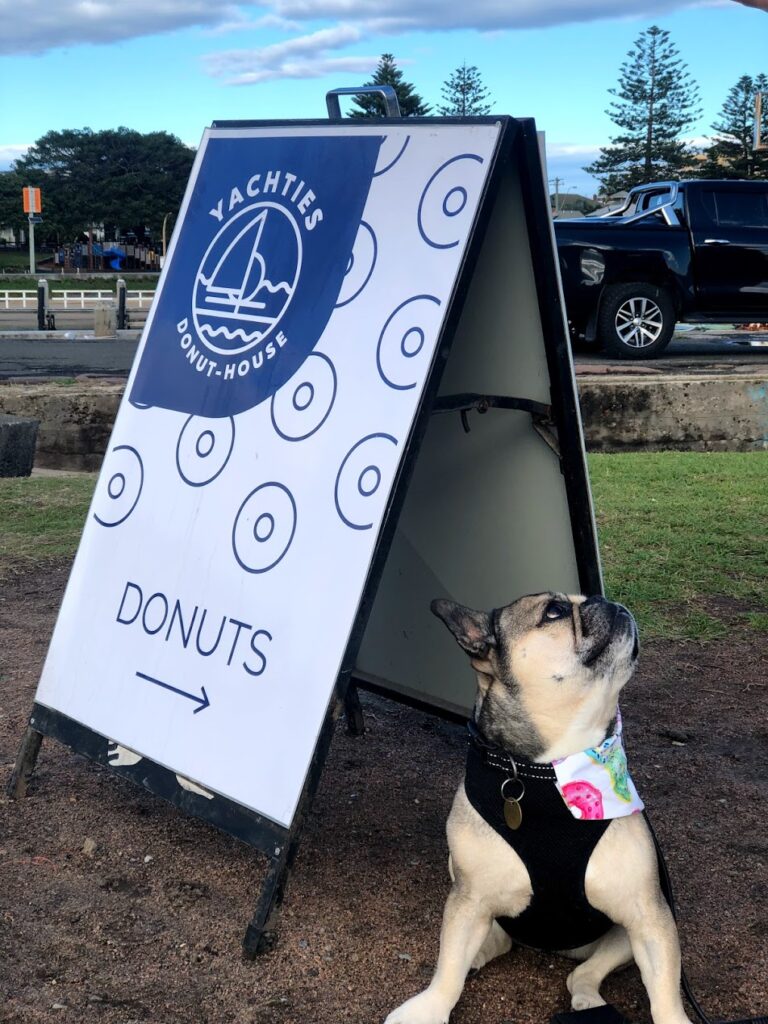yachties donuts