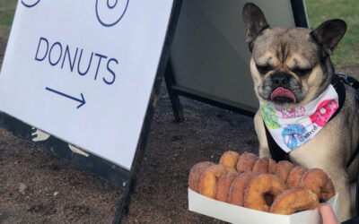 Delicious Donuts at Yachties Café